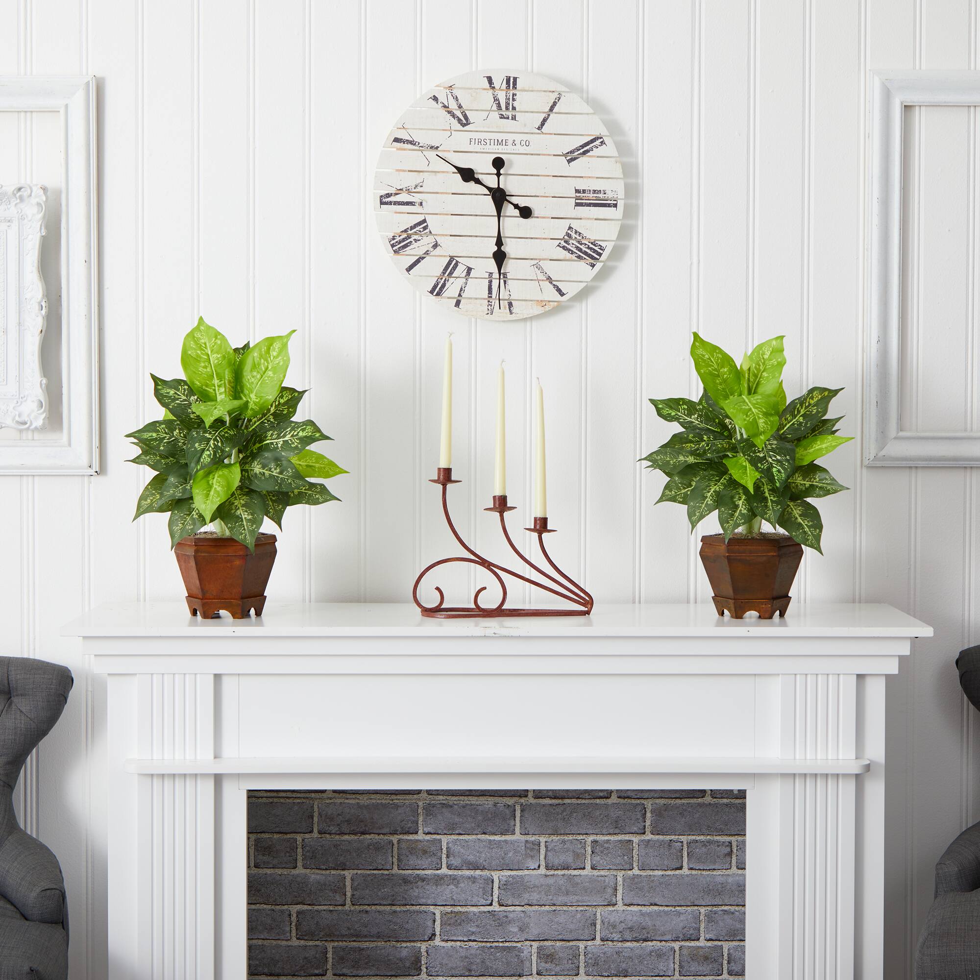 20.5" Variegated Dieffenbachia In Wood Vase, 2ct.